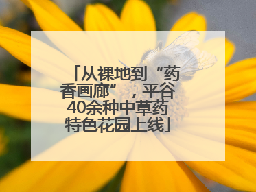 从裸地到“药香画廊”，平谷40余种中草药特色花园上线
