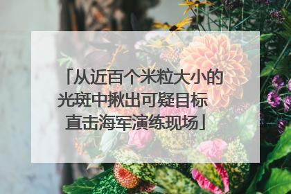 从近百个米粒大小的光斑中揪出可疑目标 直击海军演练现场