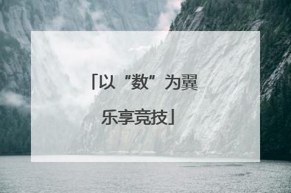 以“数”为翼 乐享竞技