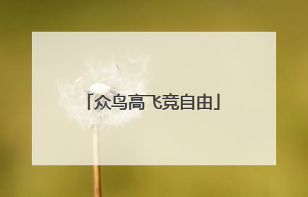 众鸟高飞竞自由