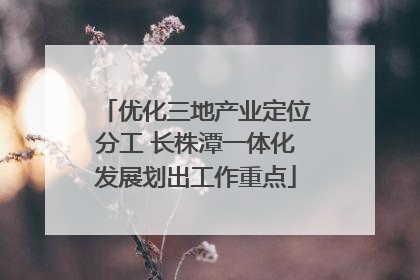 优化三地产业定位分工 长株潭一体化发展划出工作重点