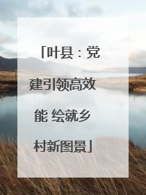 叶县：党建引领高效能 绘就乡村新图景