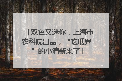 双色又迷你，上海市农科院出品，“吃瓜界”的小清新来了