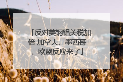 反对美钢铝关税加倍 加拿大、墨西哥、欧盟反应来了