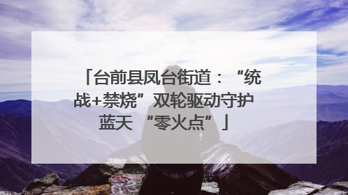 台前县凤台街道：“统战+禁烧”双轮驱动守护蓝天 “零火点”