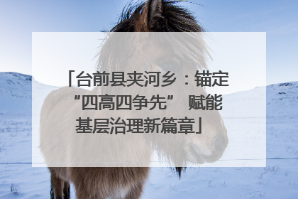 台前县夹河乡：锚定“四高四争先” 赋能基层治理新篇章