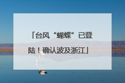 台风“蝴蝶”已登陆！确认波及浙江