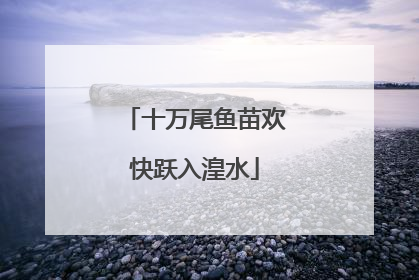 十万尾鱼苗欢快跃入湟水