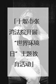 十堰市张湾法院开展“世界环境日”主题教育活动