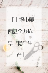 十堰市郧西县全力抗旱“稳”生产