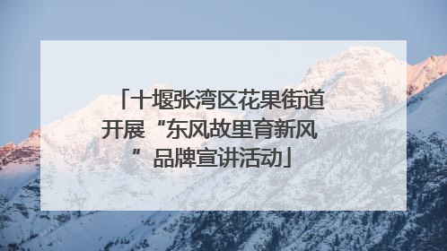 十堰张湾区花果街道开展“东风故里育新风”品牌宣讲活动