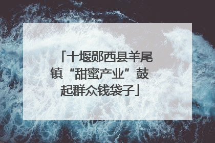 十堰郧西县羊尾镇“甜蜜产业”鼓起群众钱袋子