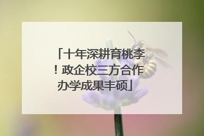 十年深耕育桃李！政企校三方合作办学成果丰硕