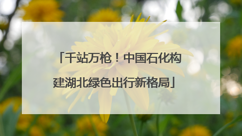 千站万枪！中国石化构建湖北绿色出行新格局
