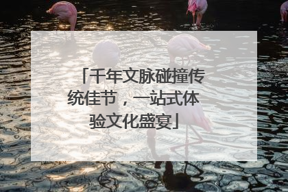 千年文脉碰撞传统佳节，一站式体验文化盛宴