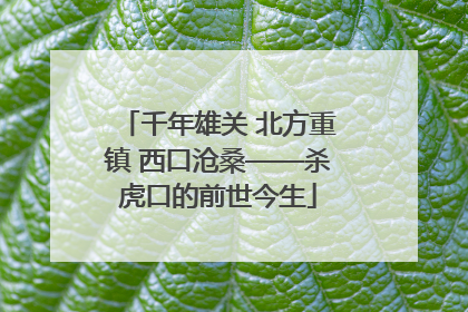 千年雄关 北方重镇 西口沧桑——杀虎口的前世今生