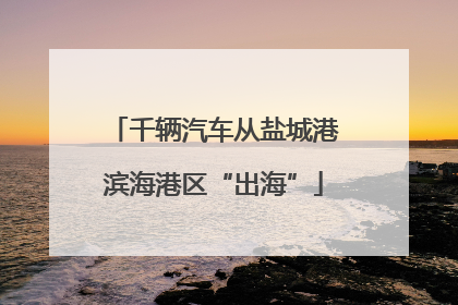 千辆汽车从盐城港滨海港区“出海”