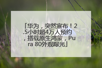 华为，突然宣布！2.5小时超4万人预约，搭载原生鸿蒙，Pura 80外观曝光