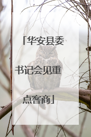 华安县委书记会见重点客商