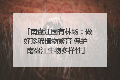 南盘江国有林场：做好珍稀植物繁育 保护南盘江生物多样性