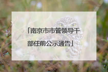 南京市市管领导干部任前公示通告