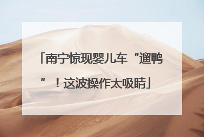 南宁惊现婴儿车“遛鸭”！这波操作太吸睛