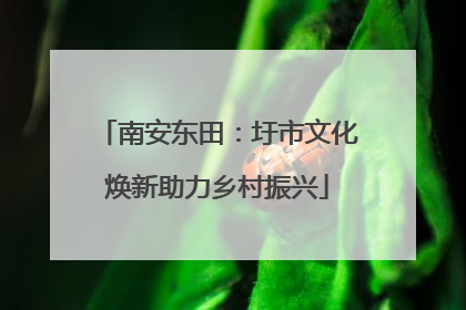 南安东田：圩市文化焕新助力乡村振兴