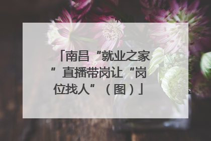 南昌“就业之家”直播带岗让“岗位找人”（图）