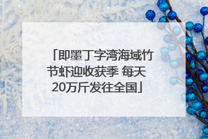 即墨丁字湾海域竹节虾迎收获季 每天20万斤发往全国
