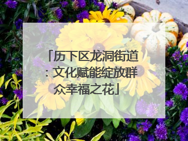 历下区龙洞街道：文化赋能绽放群众幸福之花