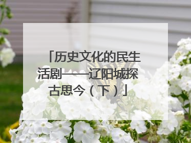 历史文化的民生活剧——辽阳城探古思今（下）