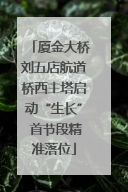 厦金大桥刘五店航道桥西主塔启动“生长” 首节段精准落位