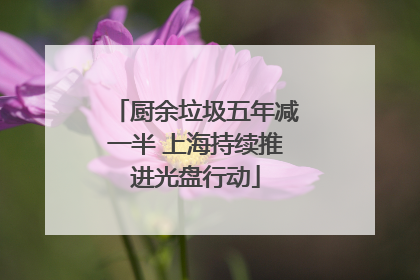 厨余垃圾五年减一半 上海持续推进光盘行动