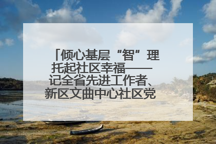 倾心基层“智”理 托起社区幸福——记全省先进工作者、新区文曲中心社区党委书记董世弘