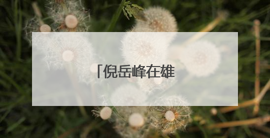 倪岳峰在雄安新区调研