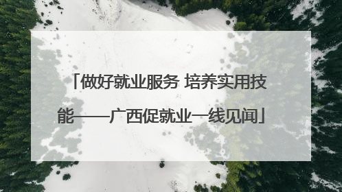 做好就业服务 培养实用技能——广西促就业一线见闻