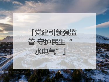 党建引领强监管 守护民生“水电气”