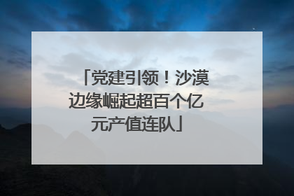 党建引领！沙漠边缘崛起超百个亿元产值连队