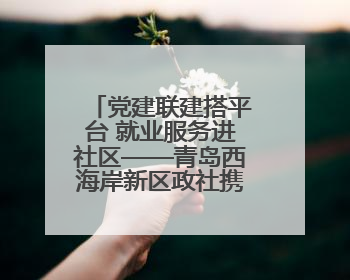 党建联建搭平台 就业服务进社区——青岛西海岸新区政社携手打造“零工之家”就业服务新阵地
