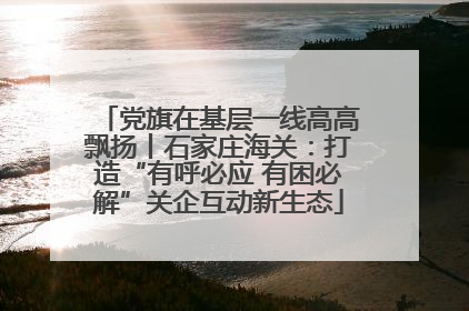 党旗在基层一线高高飘扬丨石家庄海关：打造“有呼必应 有困必解”关企互动新生态
