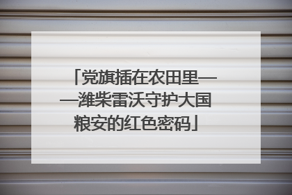 党旗插在农田里——潍柴雷沃守护大国粮安的红色密码