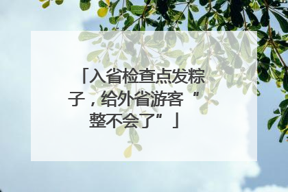 入省检查点发粽子，给外省游客“整不会了”