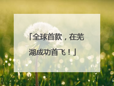 全球首款，在芜湖成功首飞！