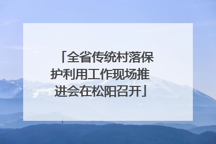 全省传统村落保护利用工作现场推进会在松阳召开