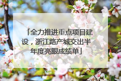 全力推进重点项目建设，浙江路产城交出半年度亮眼成绩单
