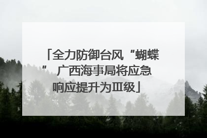 全力防御台风“蝴蝶” 广西海事局将应急响应提升为Ⅲ级
