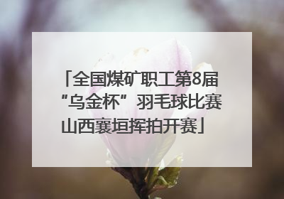 全国煤矿职工第8届“乌金杯”羽毛球比赛山西襄垣挥拍开赛