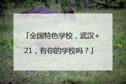 全国特色学校，武汉+21，有你的学校吗？