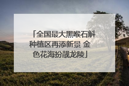 全国最大黑喉石斛种植区再添新景 金色花海扮靓龙陵
