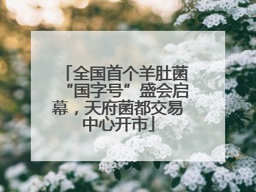 全国首个羊肚菌“国字号”盛会启幕，天府菌都交易中心开市